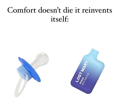 Comfort doesn’t die it reinvents itself: