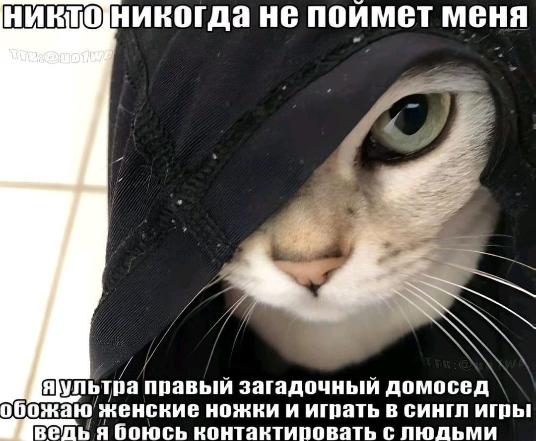 не поймет меня правый загадочный домосед` женские ножки и играть в сингл я боюсь контактиповать с людьми