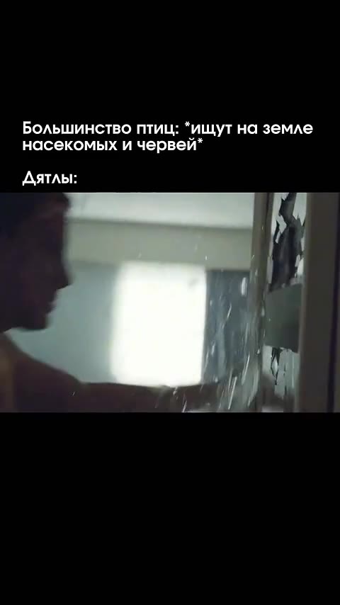 Большинство птиц: “ищут на земле насекомых и червей*