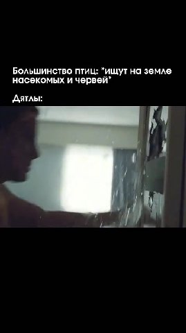 Большинство птиц: “ищут на земле насекомых и червей*