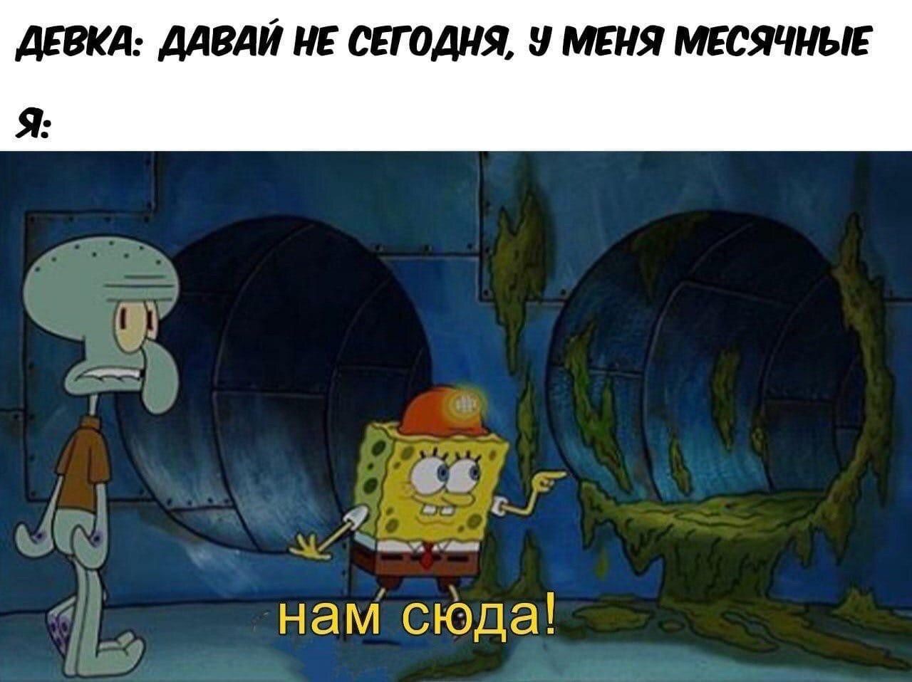 ДЕВКА: ДАВАЙ НЕ СЕГОДНЯ, У МЕНЯ МЕСЯЧНЫЕ Я: нам сюда!