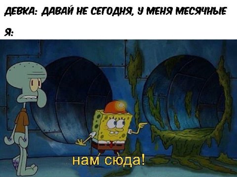 ДЕВКА: ДАВАЙ НЕ СЕГОДНЯ, У МЕНЯ МЕСЯЧНЫЕ Я: нам сюда!
