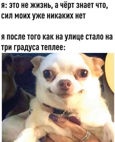 я: это не жизнь, а чёрт знает что, сил моих уже никаких нет я после того как на улице стало на три градуса теплее: