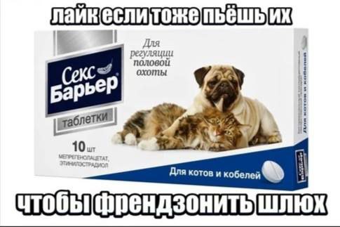 МЕМЫ ОТ БИМО