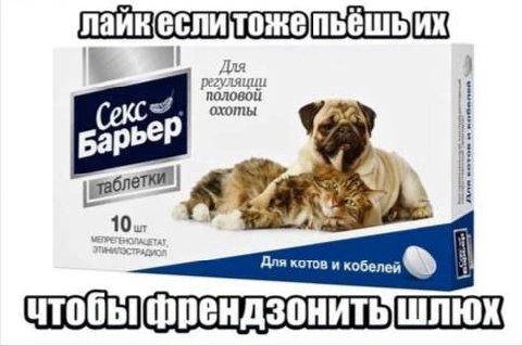 МЕМЫ ОТ БИМО