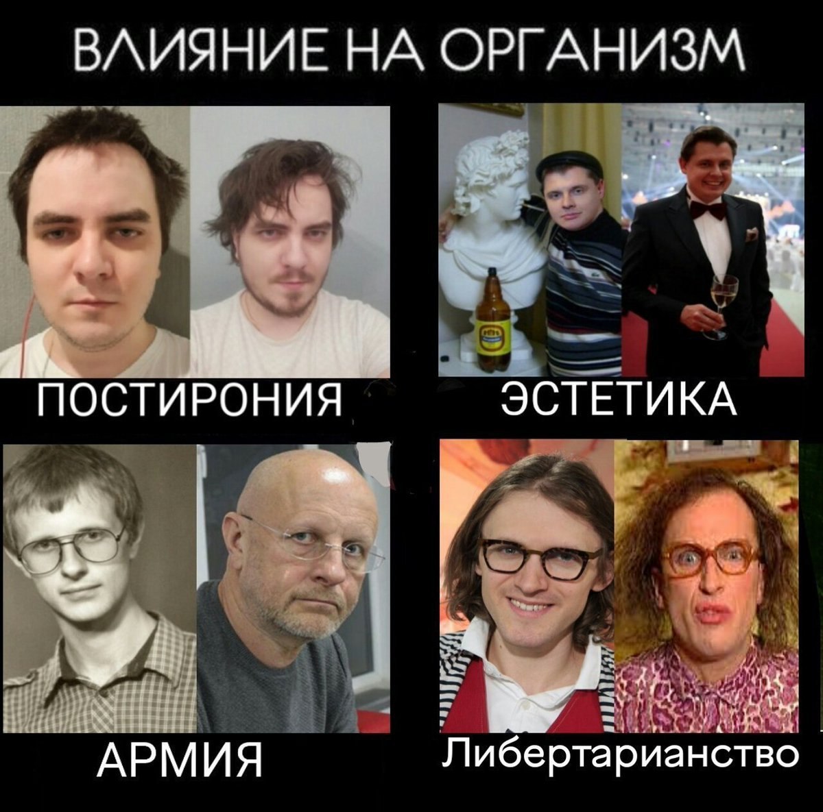 ВЛИЯНИЕ НА ОРГАНИЗМ ПОСТИРОНИЯ ЭСТЕТИКА АРМИЯ Либертарианство