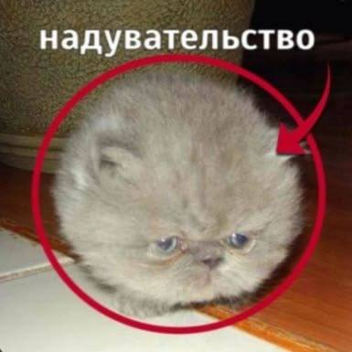 надувательство