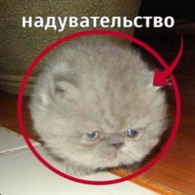 надувательство