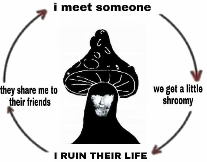 i meet someone С they share me to we get a little their friends shroomy I RUIN THEIR LIFE