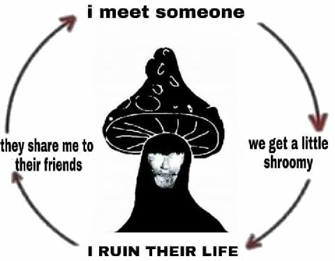 i meet someone С they share me to we get a little their friends shroomy I RUIN THEIR LIFE