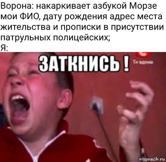 Ворона: накаркивает азбукой Морзе мои ФИО, дату рождения адрес места жительства и прописки в присутствии патрульных полицейских; Я: ЗАТКНИСЬ A