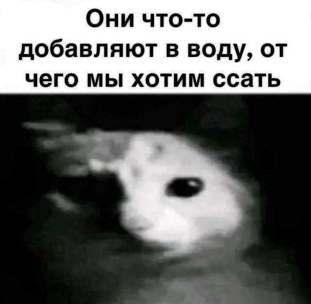Они что-то добавляют в воду, от чего мы хотим ссать