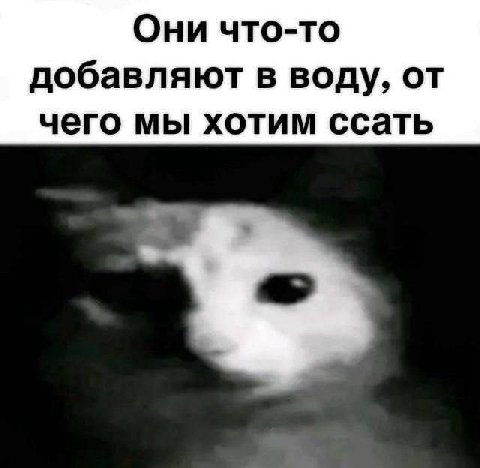 Они что-то добавляют в воду, от чего мы хотим ссать