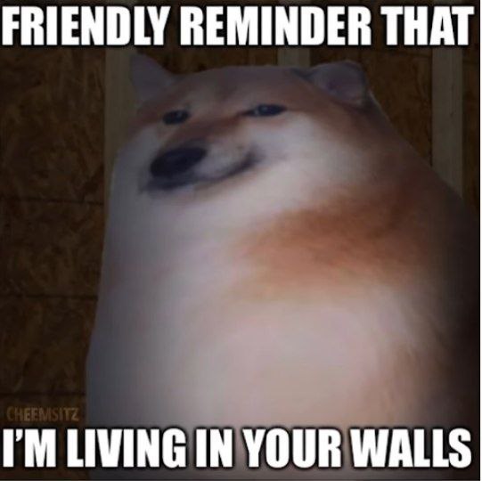 FRIENDLY REMINDER THAT LIVING IN YOUR WALLS