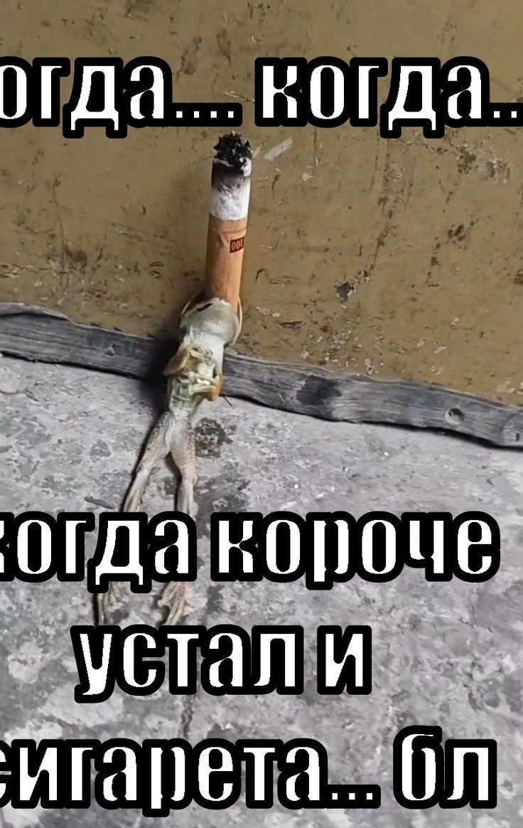 ОГДа.... 3 ~<a Why за ind a устал Wis игарета. On: Lic, 2 a