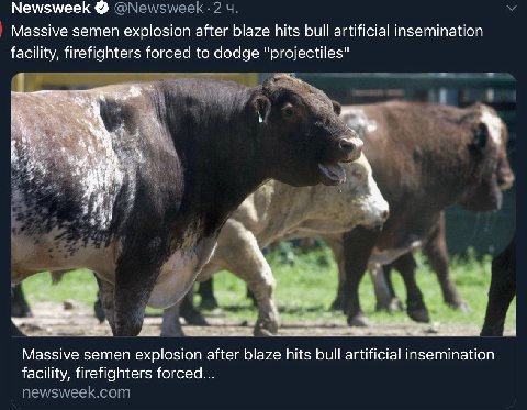 Newsweek Massive semen explosion after blaze hits bull artificial insemination facility, firefighters forced to dodge "projectiles" at Massive semen explosion after blaze hits bull artificial insemina