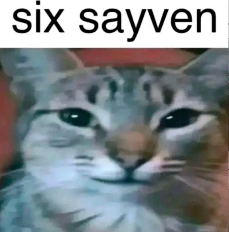 SIX заууеп