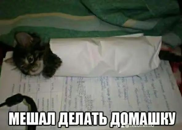 МЕШАЛ ДЕЛАТЬ