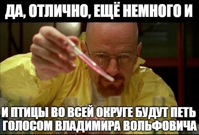 ДА, ОТЛИЧНО, ЕЩЕ НЕМНОГО И ИПТИЦЫ ВО ВСЕЙ ОКРУГЕ БУДУТ ПЕТЬ ГОЛОСОМ ВЛАДИМИРА ВОЛЬФОВИЧА