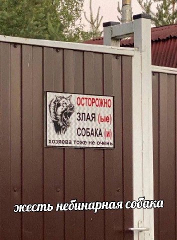"4 4 ОСТОРОЖНО ЗЛАЯ (bie) СОБАКА (и хозяева тоже не очень жесть небинарная собака