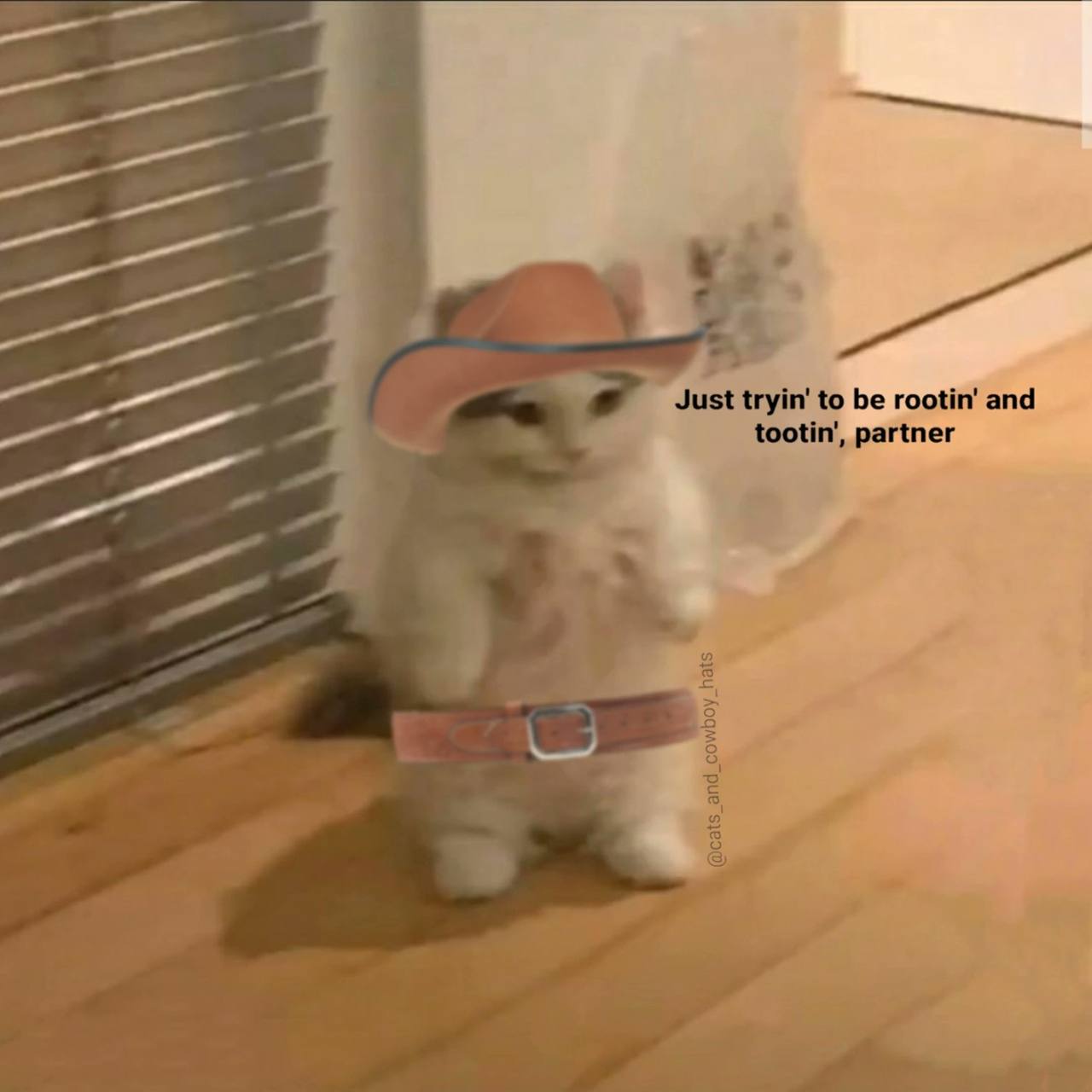 Just to be rootin' and tootin’, partner
