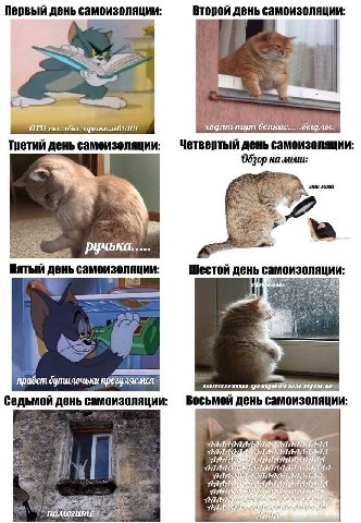 Первый день самоизоляции Второй день самоизоляции OTO ходят тут всякие Четвертый день самоизоляции Третий день самоизоляции на moun это мыш ручька..... Пятый Шестой день самоизоляции прогуляемся Восьм