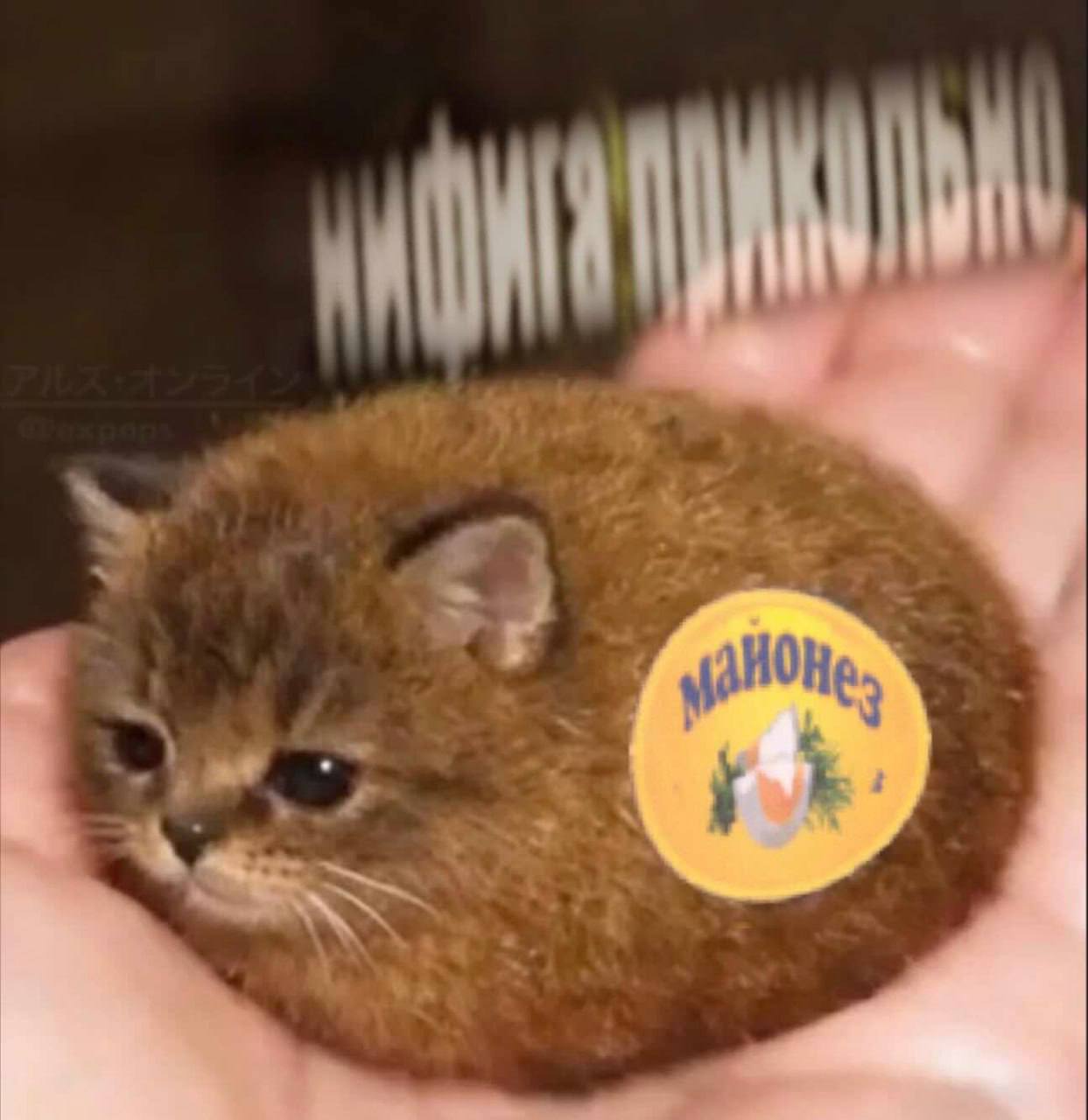 Майонезный кот ритуалов