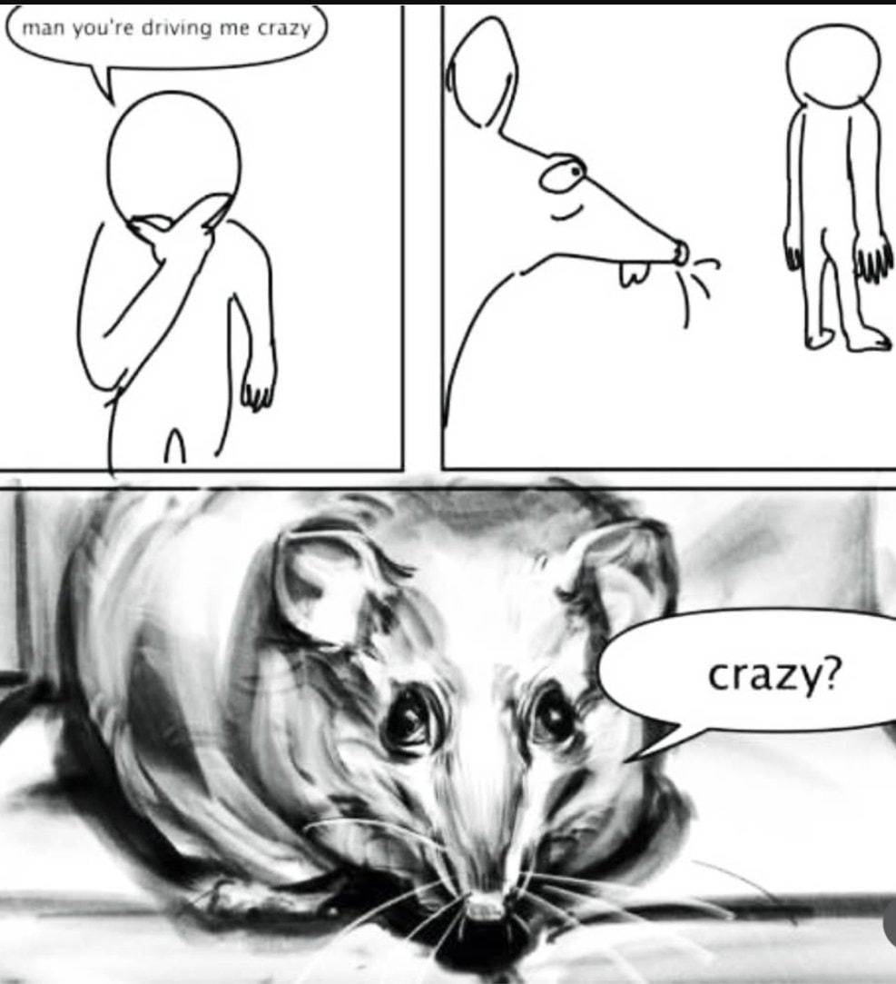 crazy?