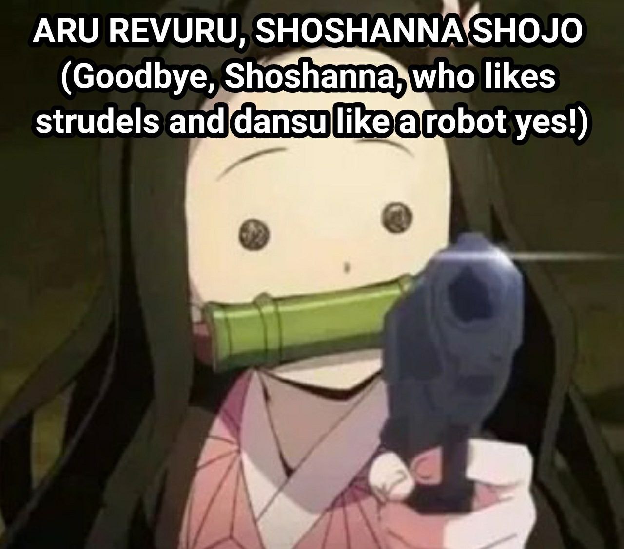 ARU REVURU, SHOSHANNA(SHOJO (Goodbye, Shoshanna\who likes strudels and robot yes!)