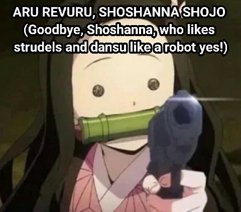 ARU REVURU, SHOSHANNA(SHOJO (Goodbye, Shoshanna\who likes strudels and robot yes!)