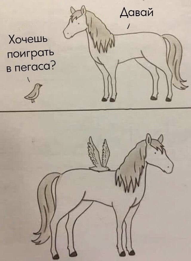 пегаса?