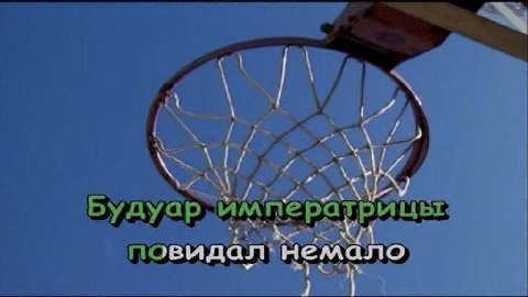видал нем ало