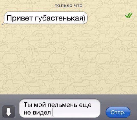 только что Привет Ты мой пельмень еще не видел| Отпр.