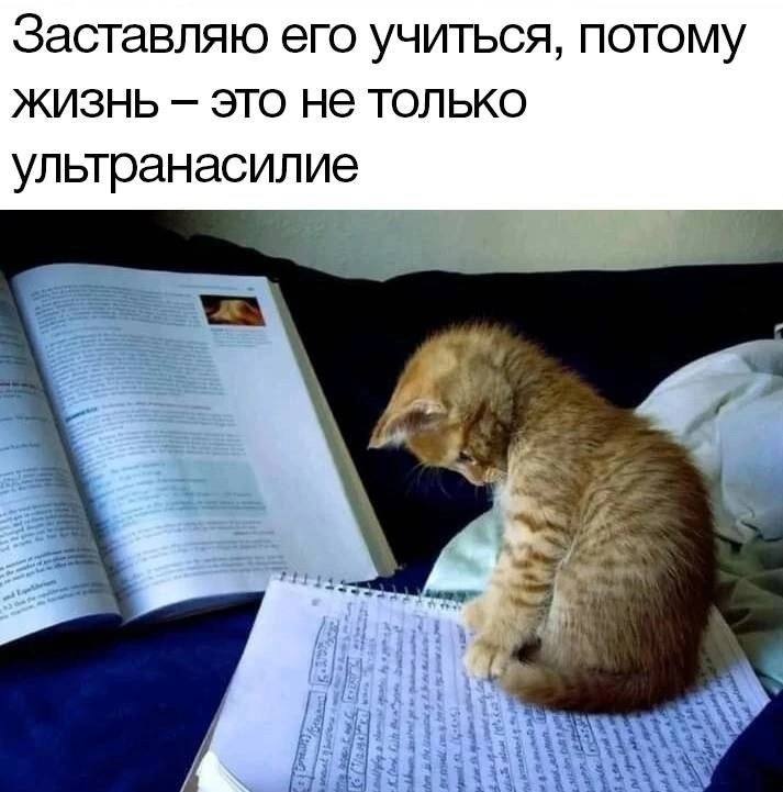 Заставляю его учиться, потому ЖИЗНЬ ЭТО HE ТОЛЬКО ультранасилие А 4