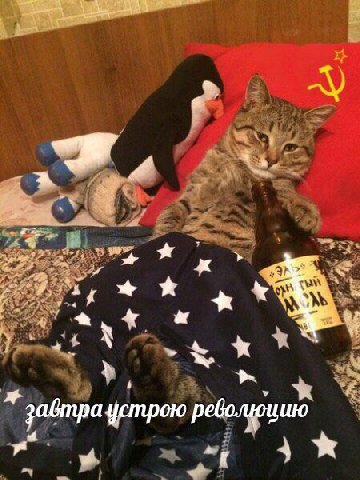 we забтра строю революцию
