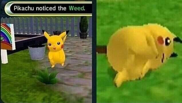 Pikachu noticed the