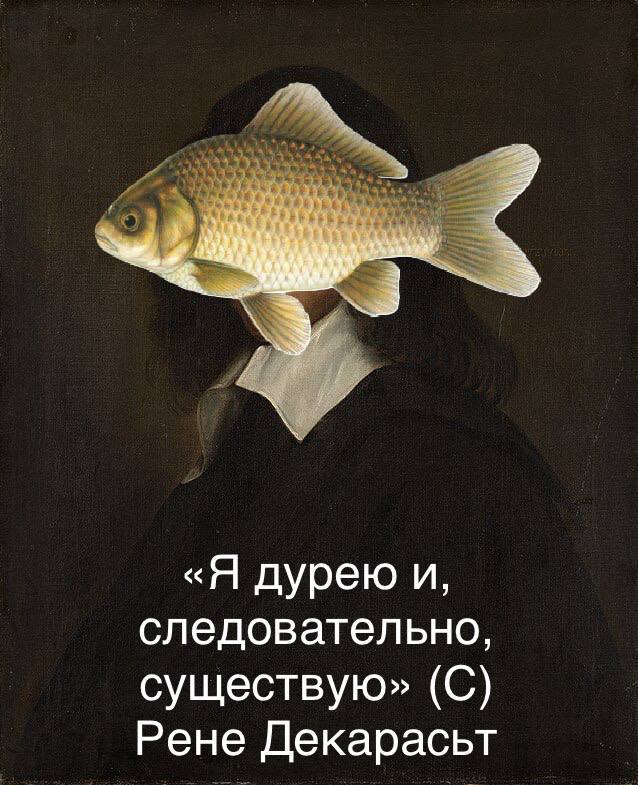 «Я дурею и, следовательно, существую» (С) Рене Декарасьт