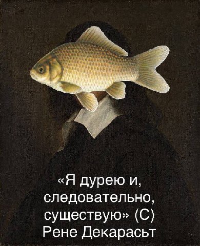 «Я дурею и, следовательно, существую» (С) Рене Декарасьт