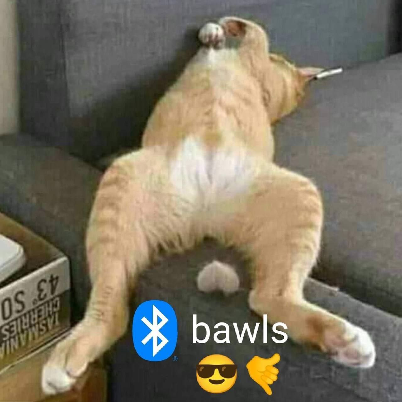 bawls