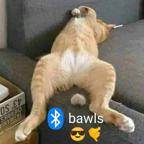 bawls