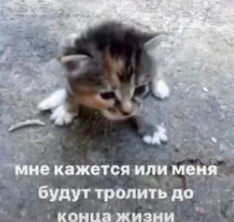 простите.