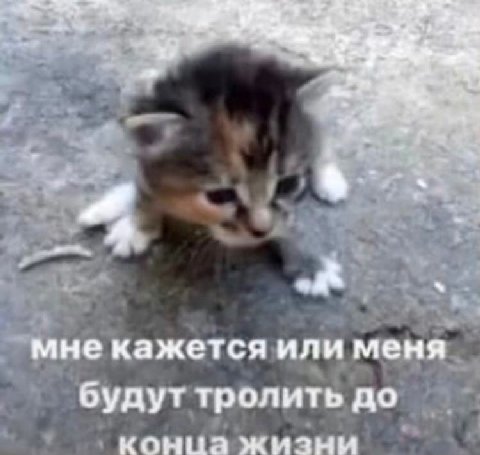 простите.