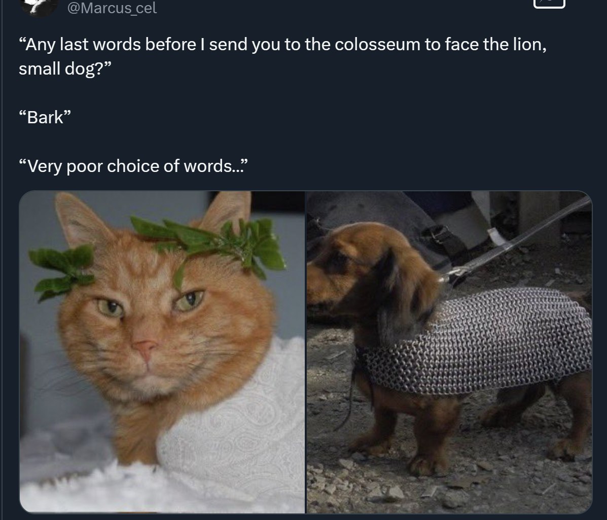 “Any last words before send you to {Не colosseum to face the lion, small dog?” “Bark” “Very poor choice of words..”