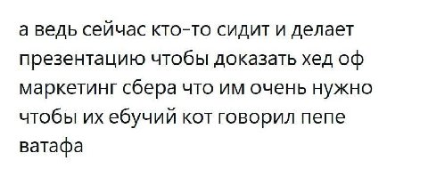 а ведь сейчас кто-то сидит и делает презентацию чтобы доказать хед маркетинг сбера что очень нужно чтобы ебучии кот говорил пепе ватафа