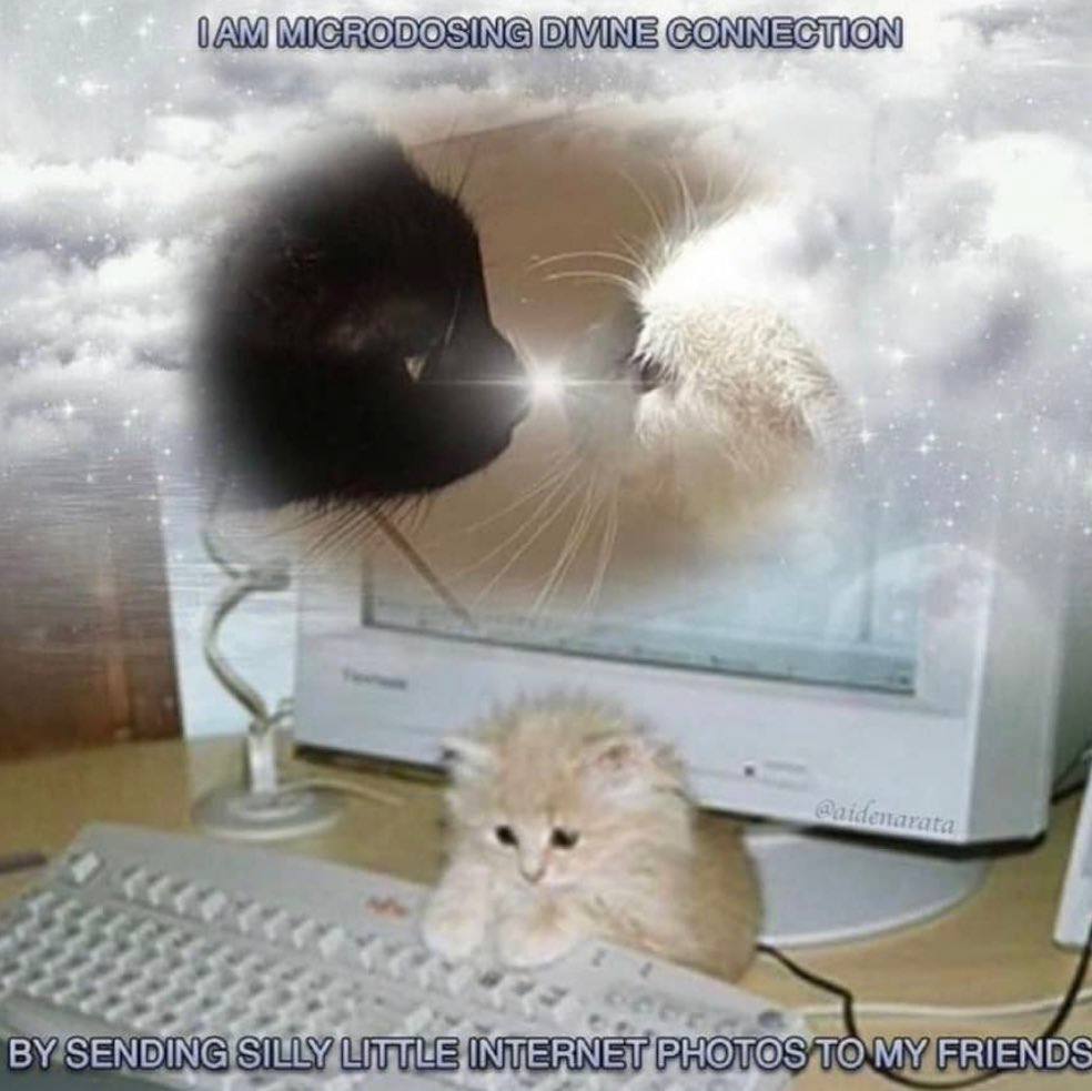 MIGRODOSING DIVINE GONNECTION be: PHOVOS