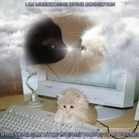 MIGRODOSING DIVINE GONNECTION be: PHOVOS