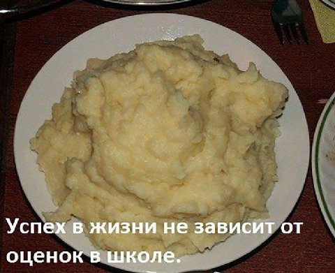 Успех в жизни не зависит от оценок в школе.