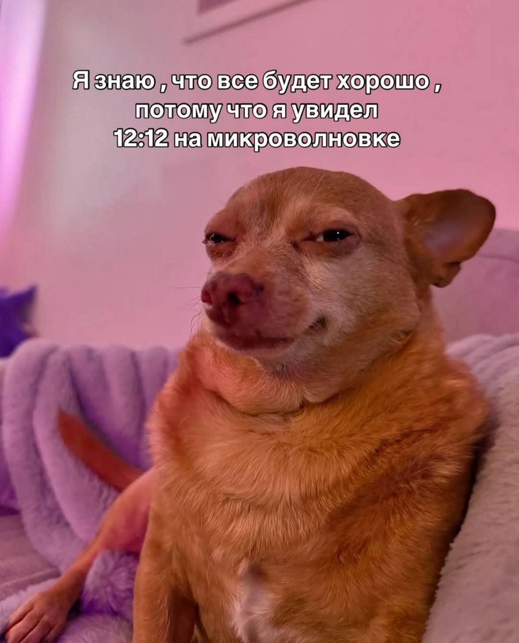 Я знаю что все будет хорошо, потому что я увидел 12:12 на микроволновке