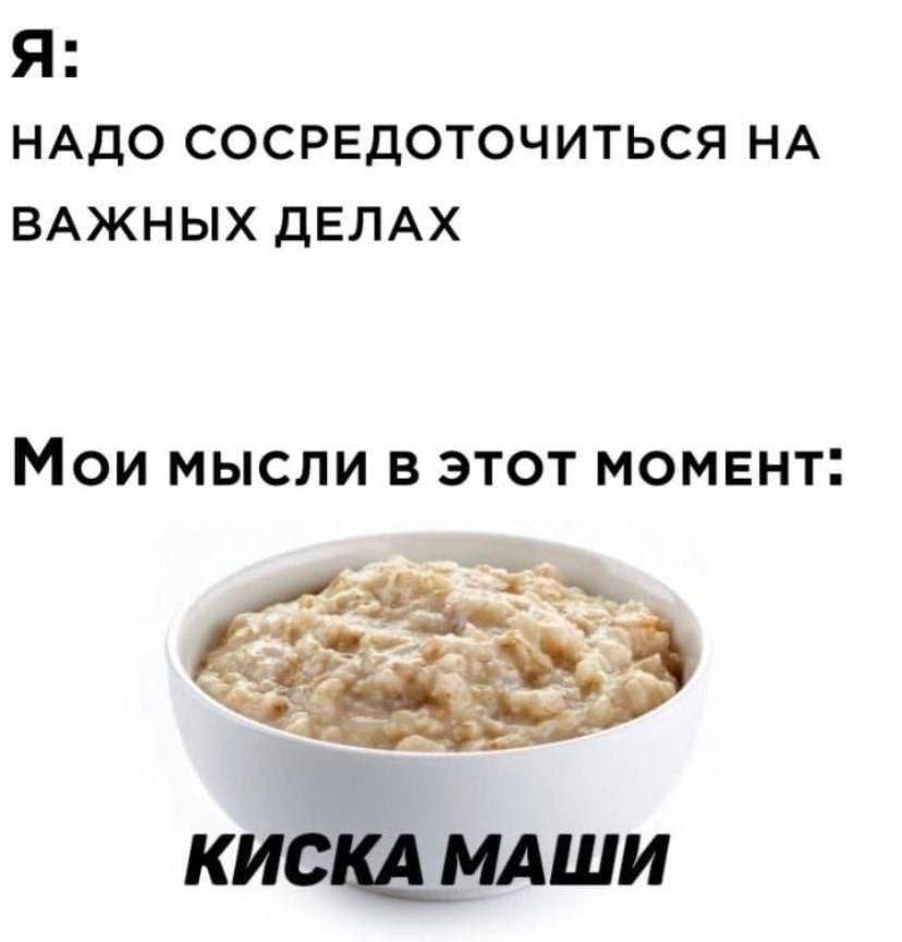 Я: НАДО СОСРЕДОТОЧИТЬСЯ НА ВАЖНЫХ ДЕЛАХ Мои мысли ЭТОТ МОМЕНТ: КИСКА МАШИ