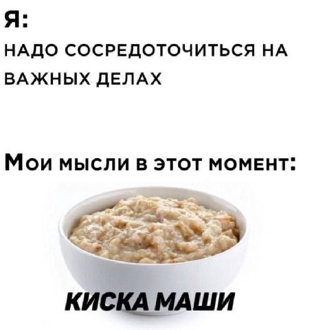 Я: НАДО СОСРЕДОТОЧИТЬСЯ НА ВАЖНЫХ ДЕЛАХ Мои мысли ЭТОТ МОМЕНТ: КИСКА МАШИ
